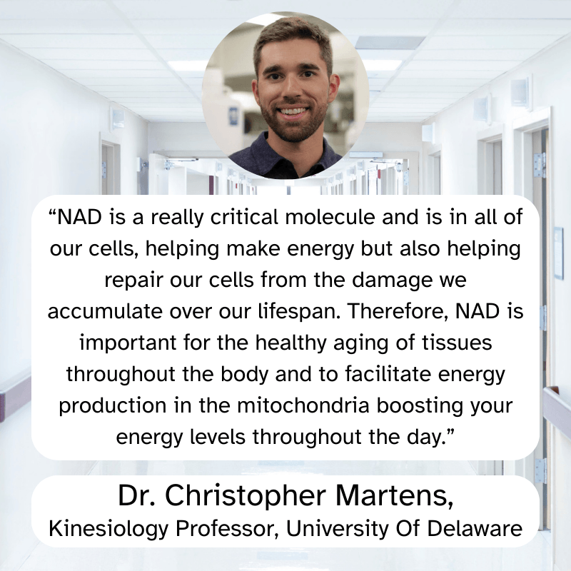 NAD+ Catakor - Concentratie & Energie