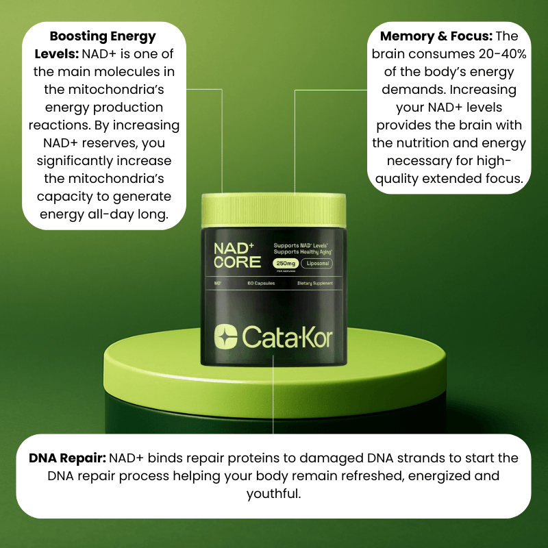 NAD+ Catakor - Concentratie & Energie